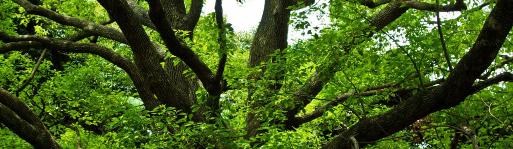 f:id:tableturning:20170527123017j:plain