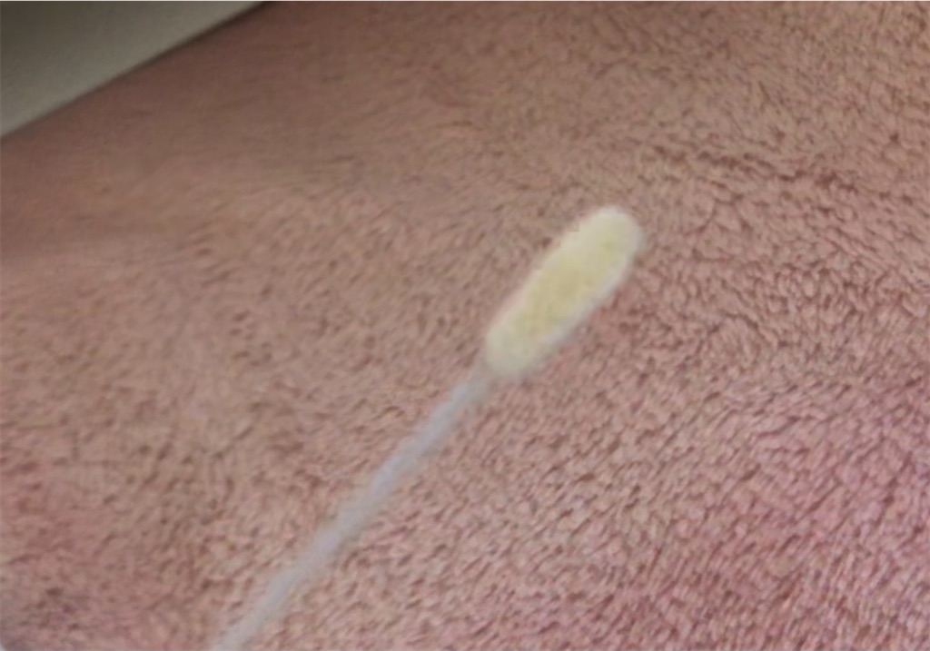 f:id:tableturning:20210131111410j:plain