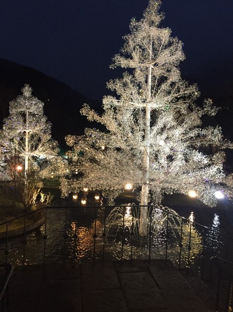 f:id:tabo222kuma:20181218125310j:image f:id:tabo222kuma:20181218125310j:image