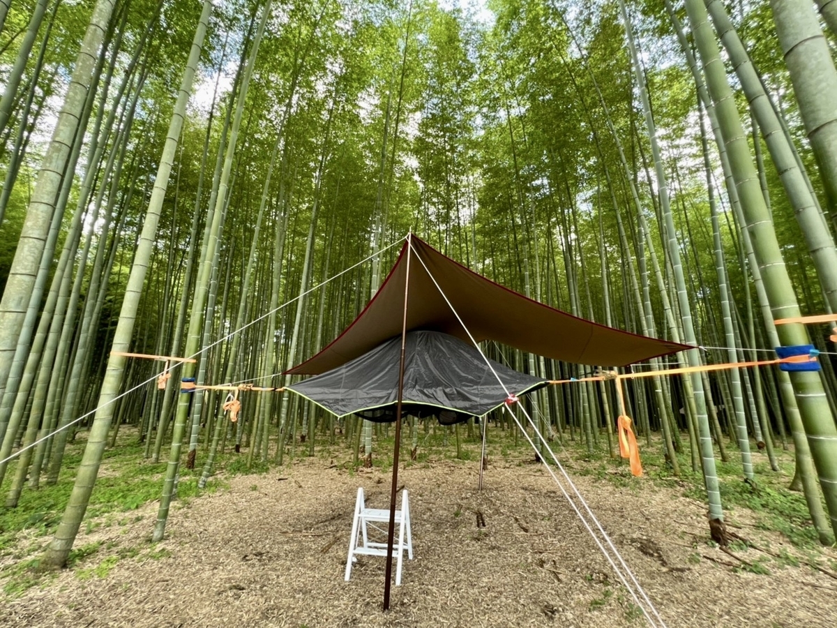 竹林 ハンモック
