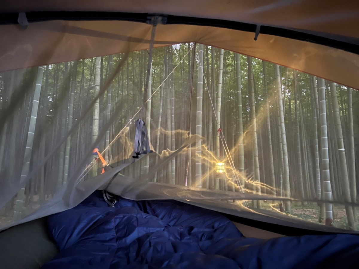 ハンモック 内部