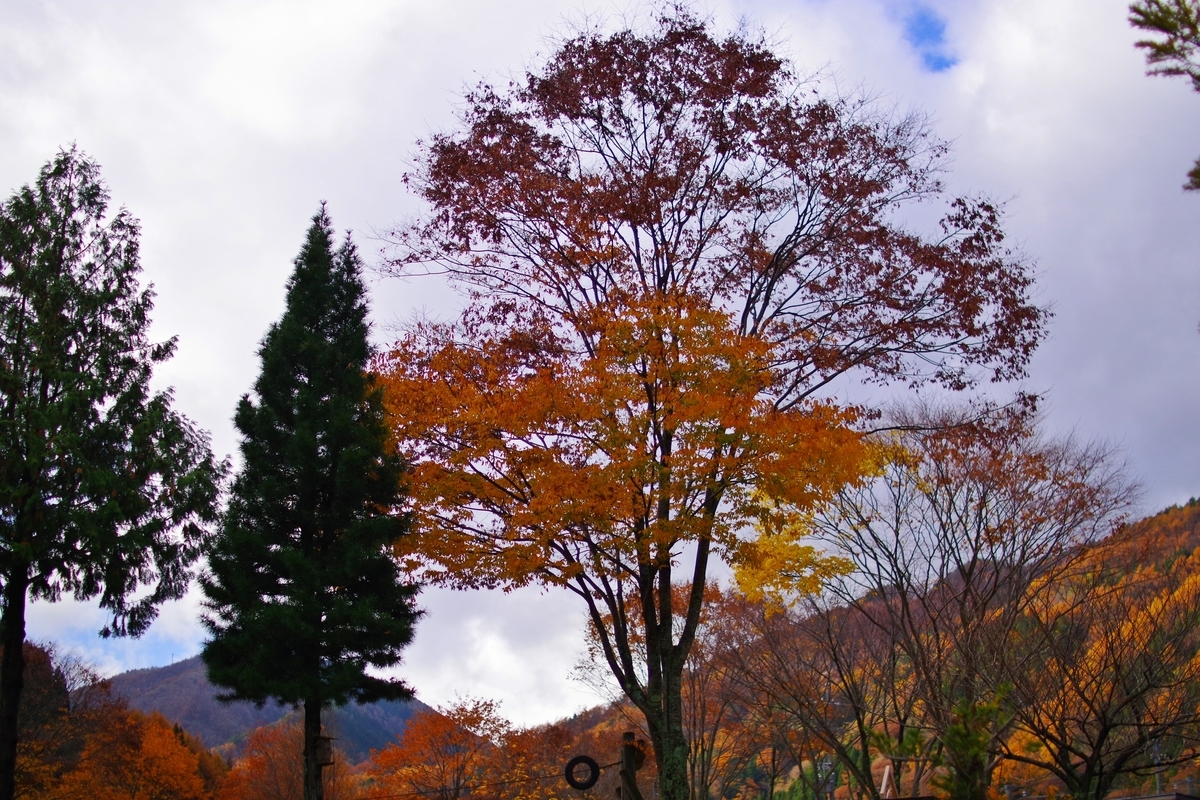 f:id:tabouaxela:20210823102456j:plain