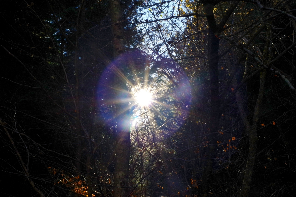 f:id:tabouaxela:20210824190522j:plain