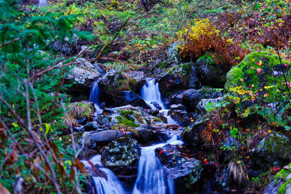 f:id:tabouaxela:20210824195432j:plain