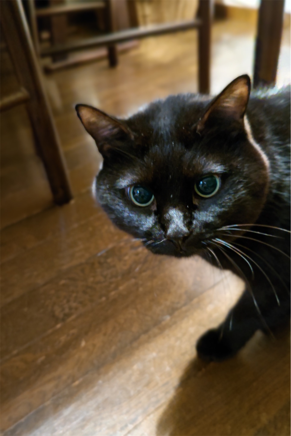 f:id:tabouaxela:20221221215619j:image