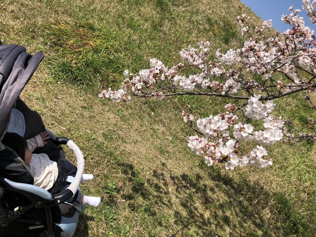 f:id:tabu1:20180402213855j:plain