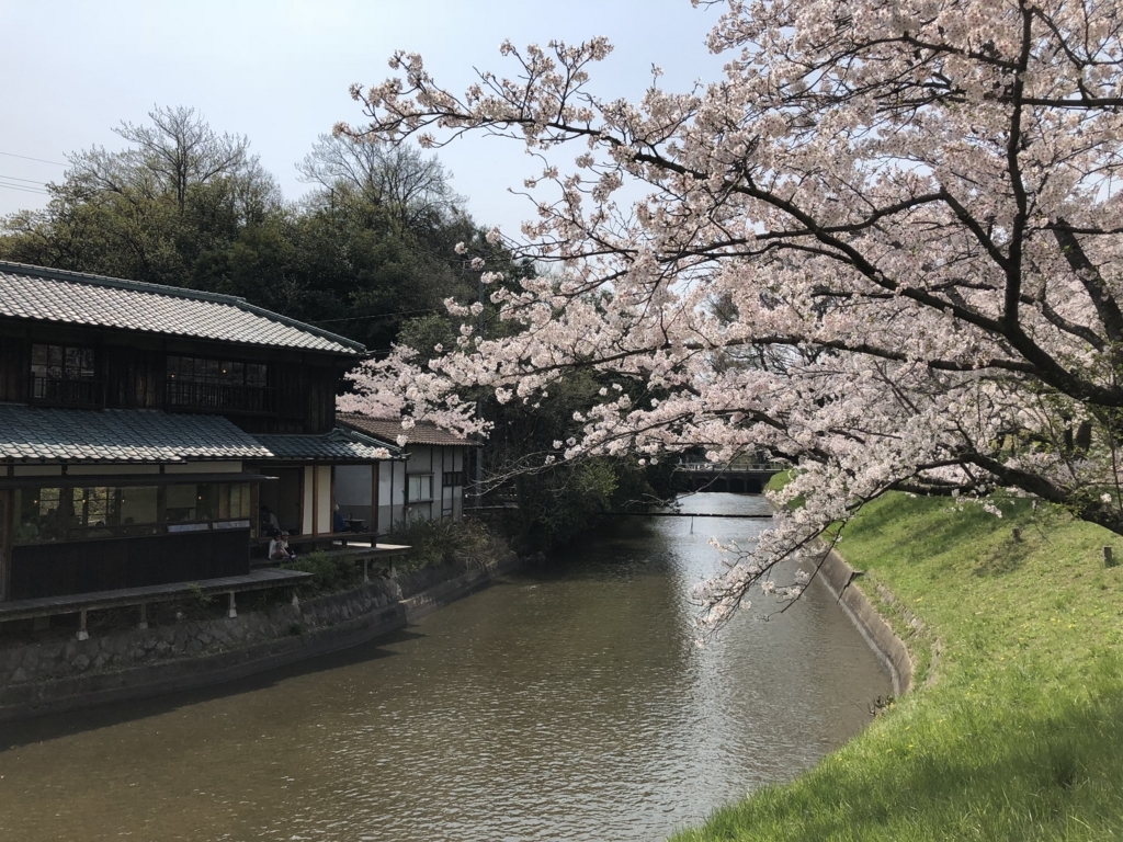 f:id:tabu1:20180402214546j:plain