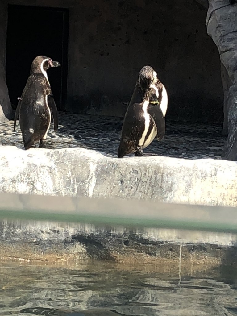 f:id:tabu1:20180503225500j:plain