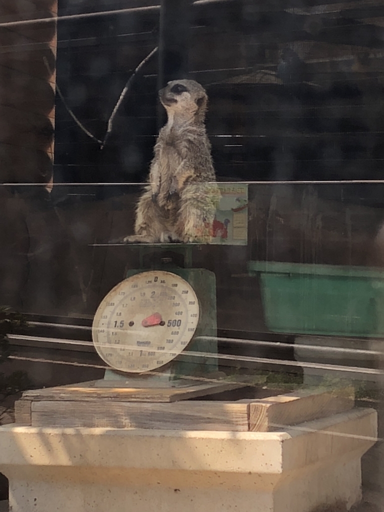 f:id:tabu1:20180503230128j:plain