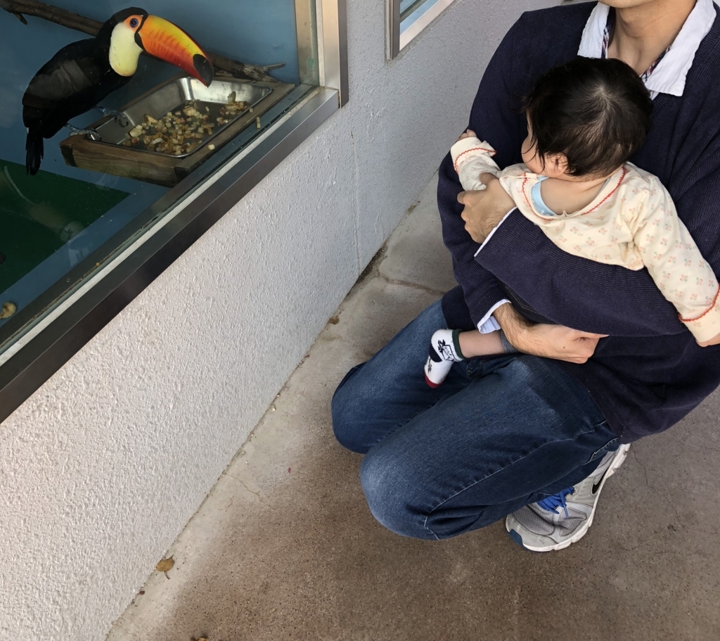 f:id:tabu1:20180503230843j:plain