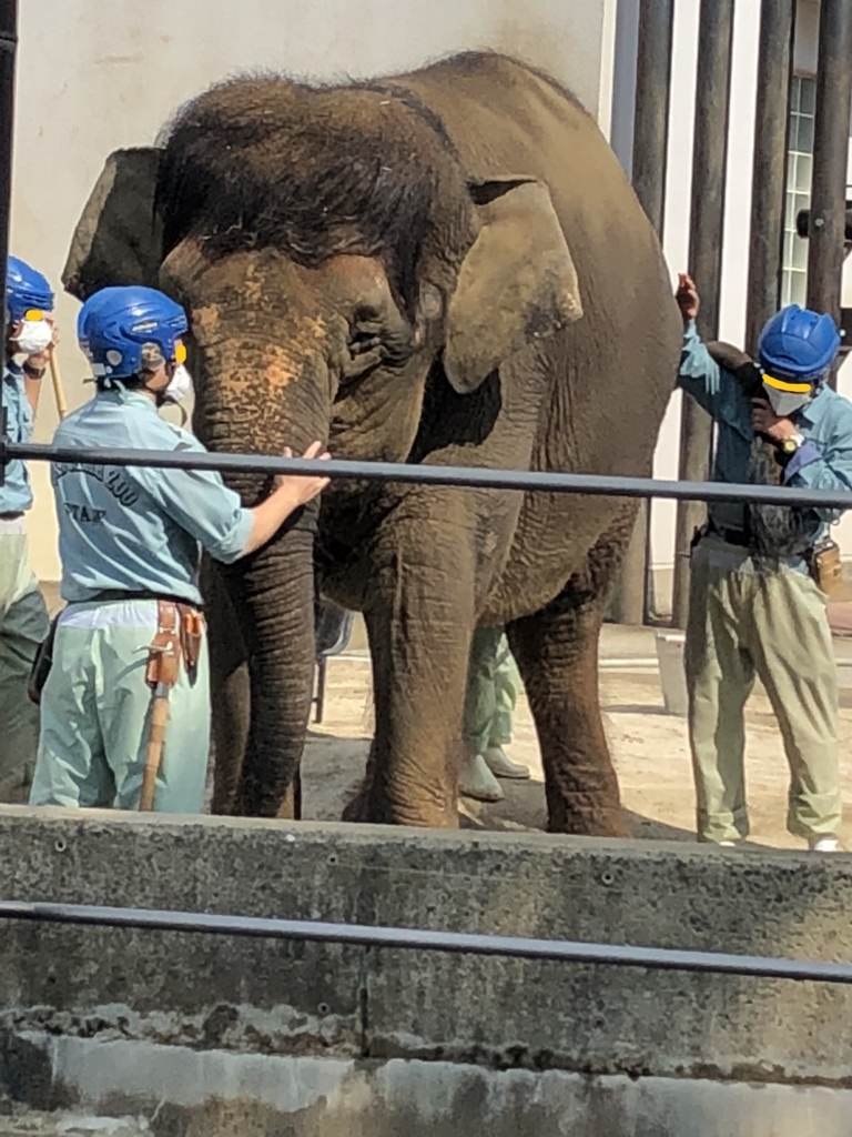 f:id:tabu1:20180516233124j:plain