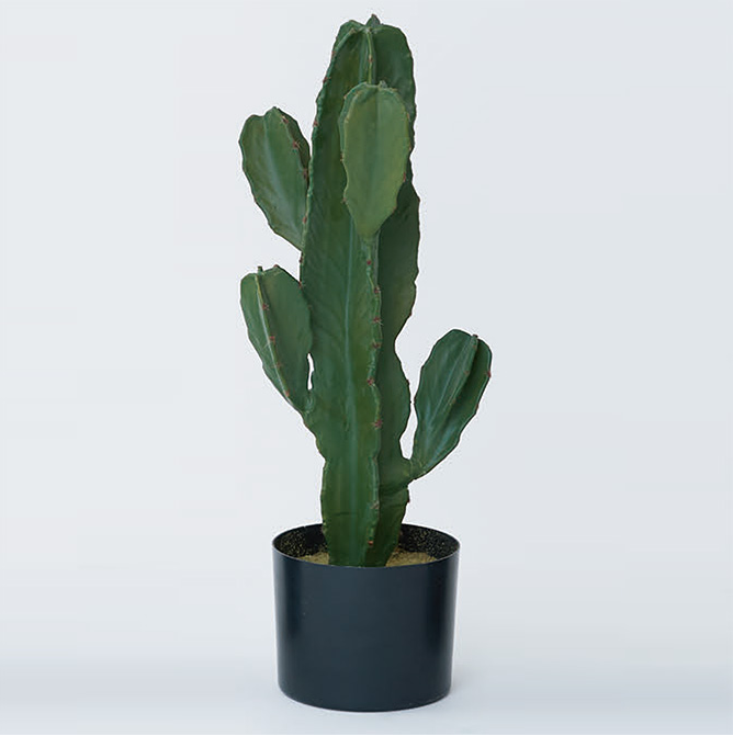 f:id:tabutiman2929:20191123150053p:plain