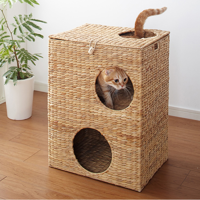 f:id:tabutiman2929:20191123151959p:plain