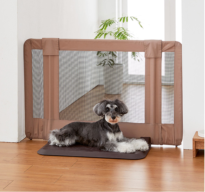 f:id:tabutiman2929:20191123152638p:plain