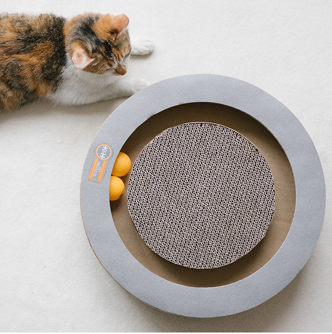 f:id:tabutiman2929:20191123154127p:plain