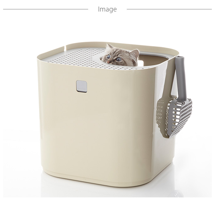 f:id:tabutiman2929:20191123155048p:plain