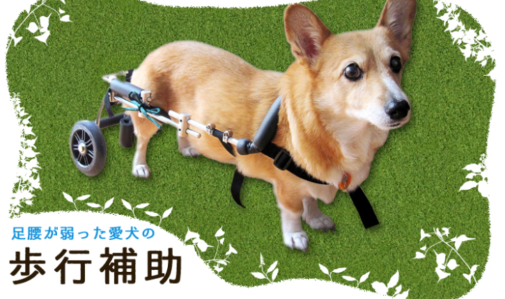 f:id:tabutiman2929:20191227142539p:plain f:id:tabutiman2929:20191227142539p:plain