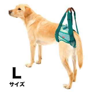 f:id:tabutiman2929:20191227151005j:plain f:id:tabutiman2929:20191227151005j:plain