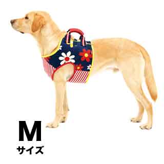 f:id:tabutiman2929:20191227151432j:plain f:id:tabutiman2929:20191227151432j:plain