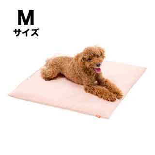 f:id:tabutiman2929:20191227151529j:plain f:id:tabutiman2929:20191227151529j:plain