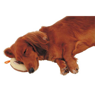 f:id:tabutiman2929:20191227151616j:plain f:id:tabutiman2929:20191227151616j:plain