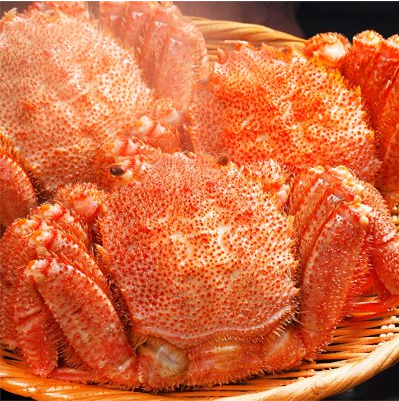 f:id:tabutiman2929:20200103135941p:plain f:id:tabutiman2929:20200103135941p:plain