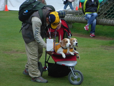f:id:tacaQ:20080928091437j:image:w250