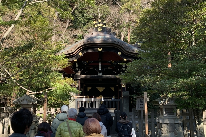 神奈川県-鎌倉市へ② [鶴岡八幡宮] - TaCaTrip(TaCasBlog)