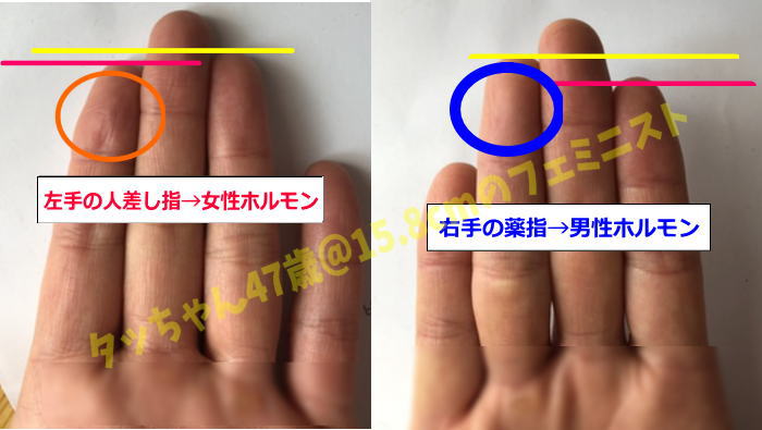 f:id:tachan47:20190122190138j:plain f:id:tachan47:20190122190138j:plain