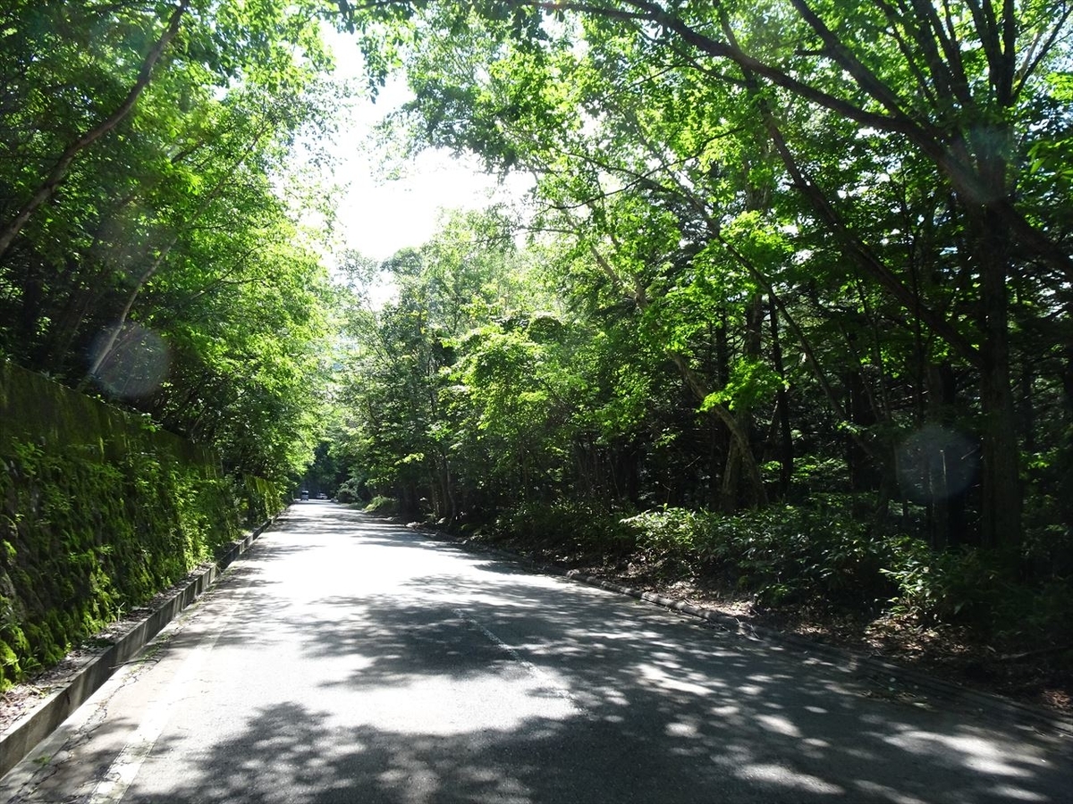 f:id:tachan_1994:20200719094802j:plain