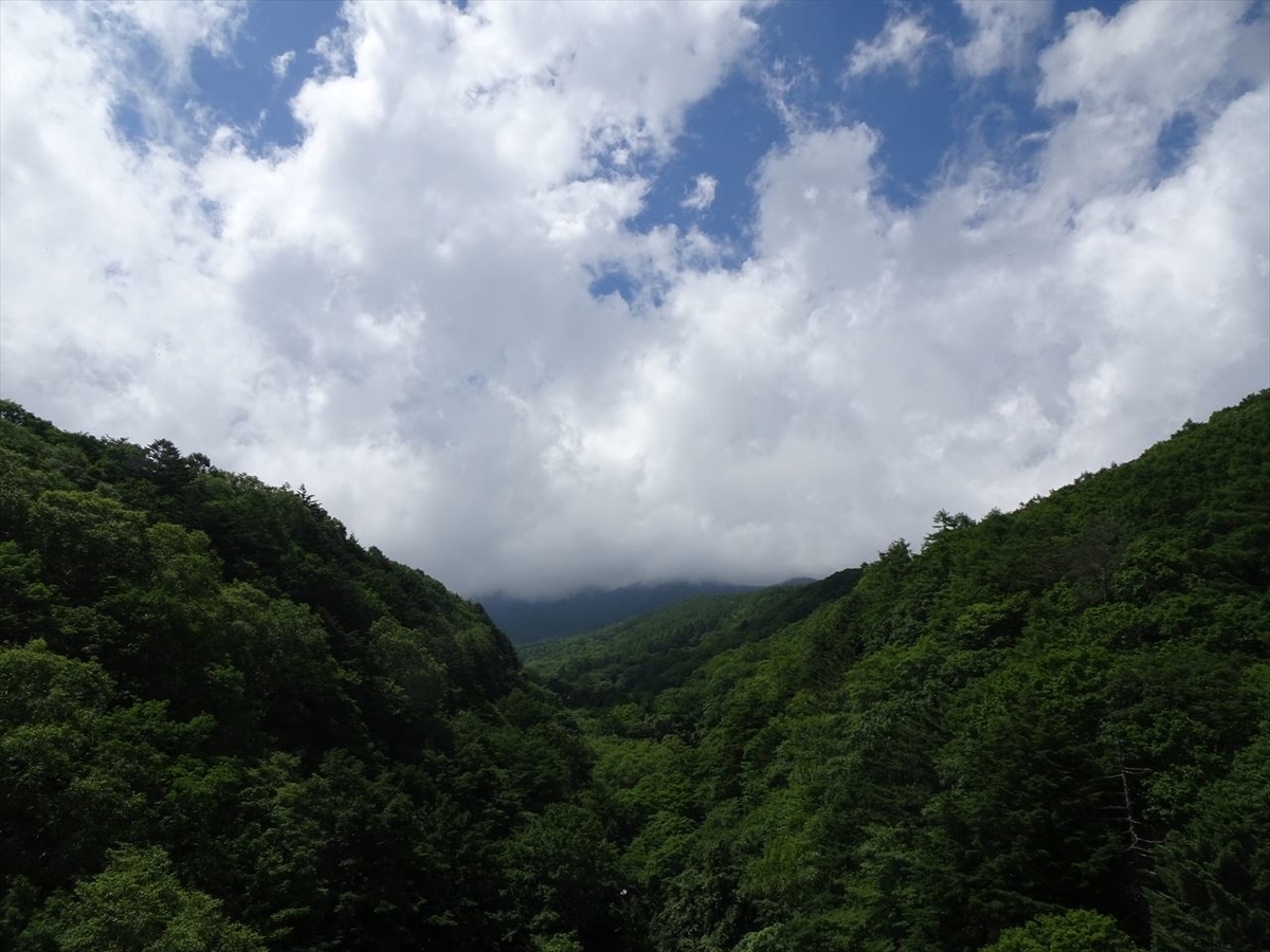 f:id:tachan_1994:20200719134607j:plain