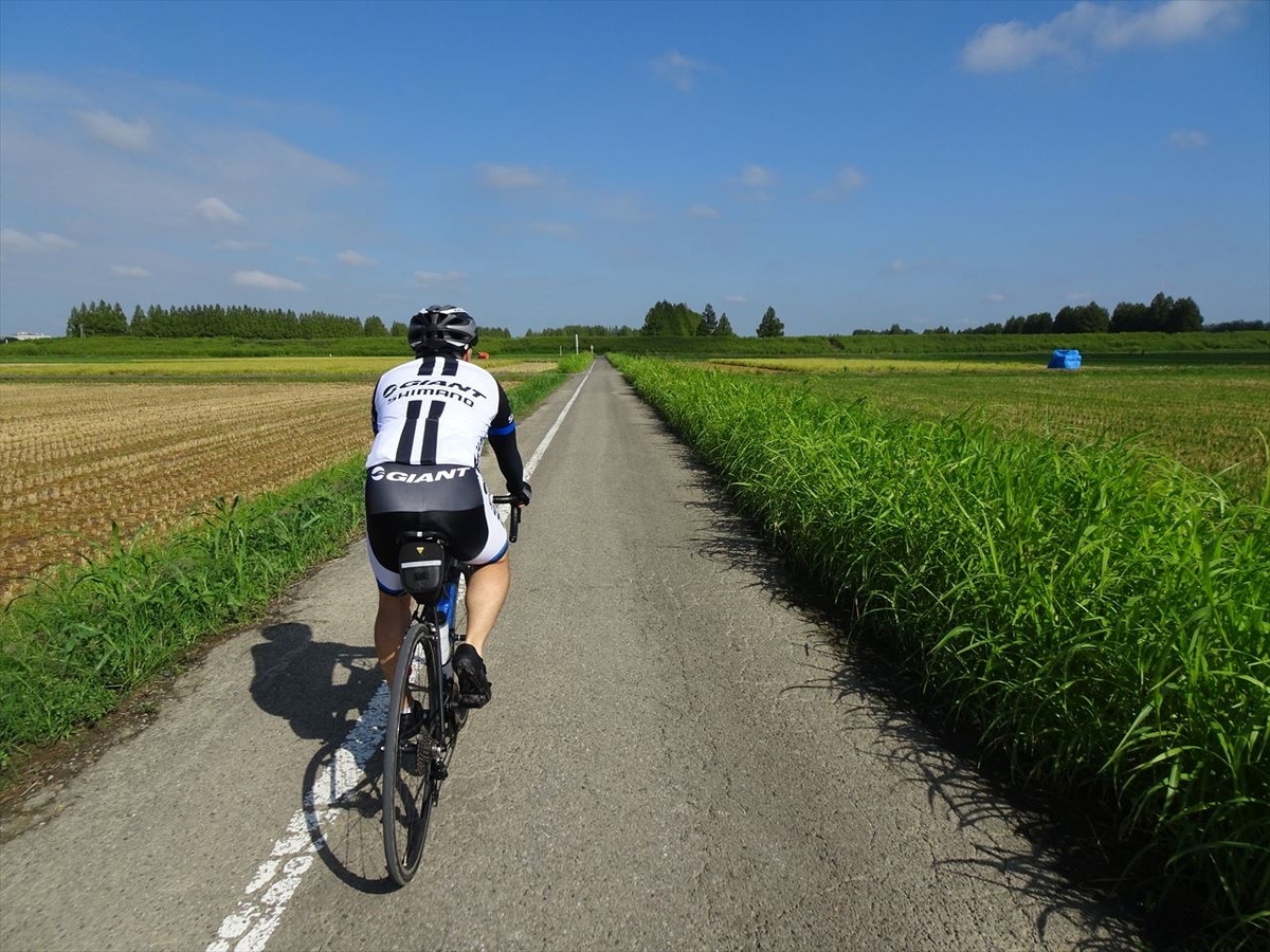 f:id:tachan_1994:20200905083910j:plain