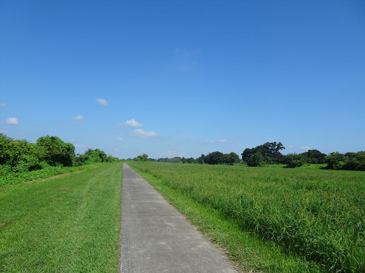 f:id:tachan_1994:20200905095002j:plain