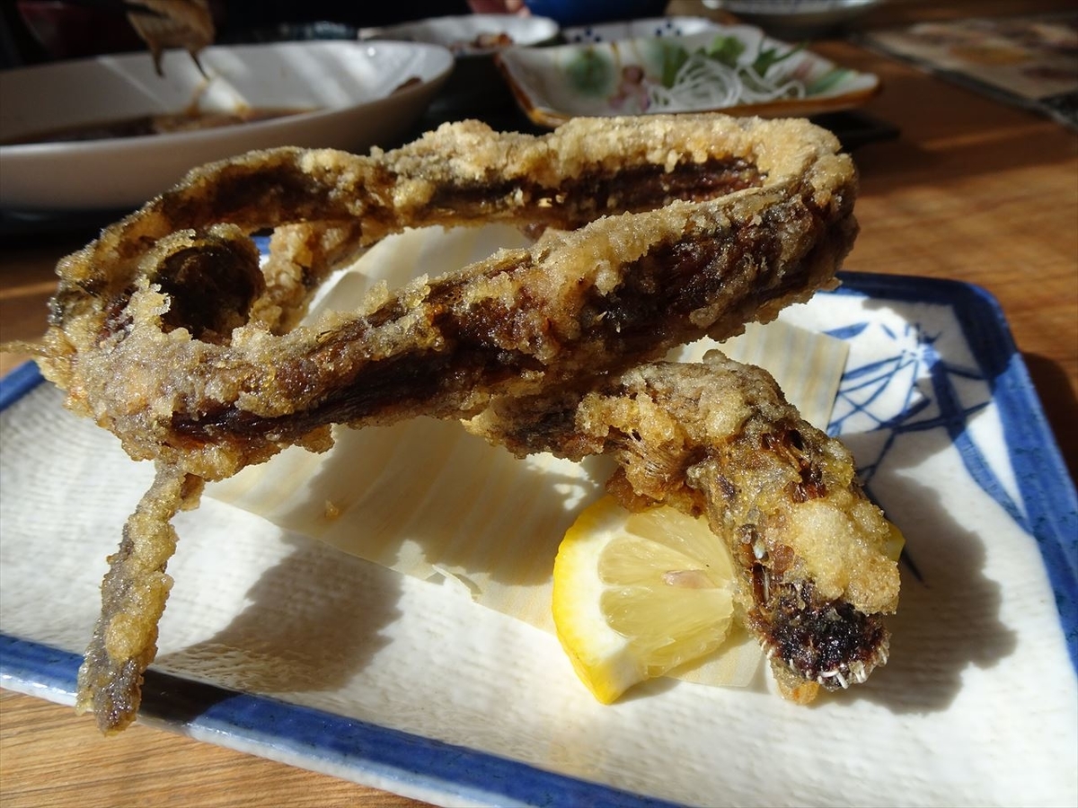 f:id:tachan_1994:20201101123337j:plain