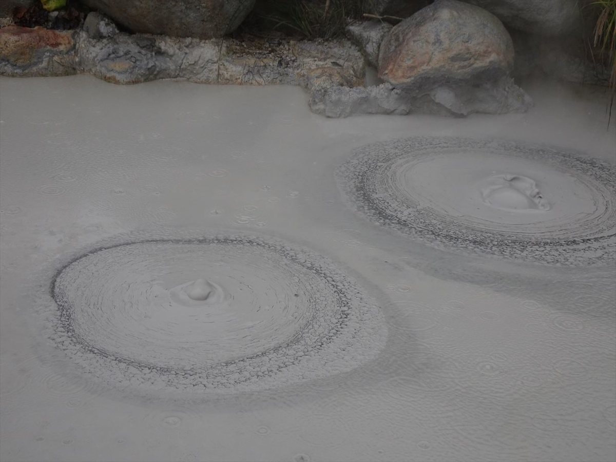 f:id:tachan_1994:20201102110912j:plain