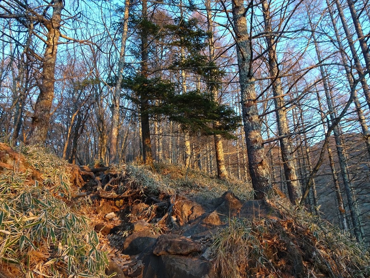 f:id:tachan_1994:20201113064106j:plain