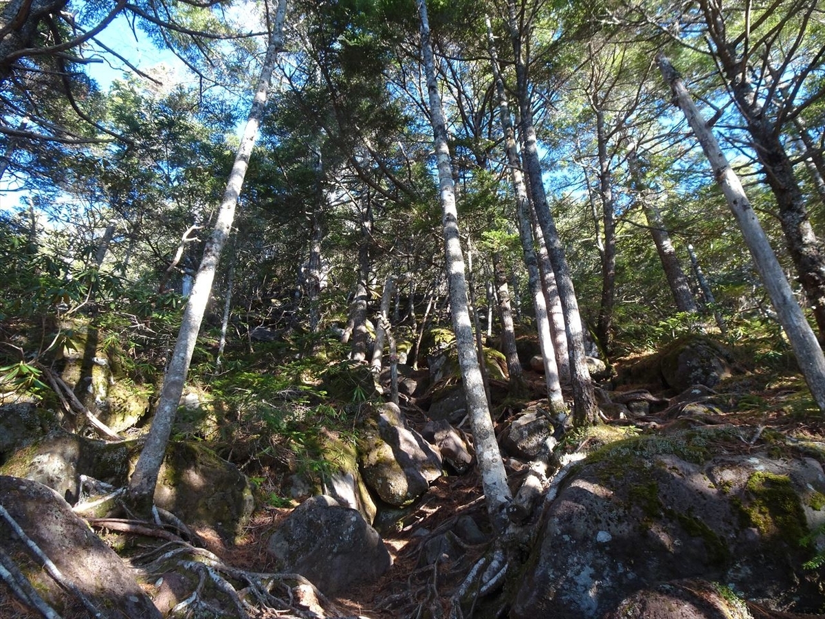 f:id:tachan_1994:20201113080204j:plain