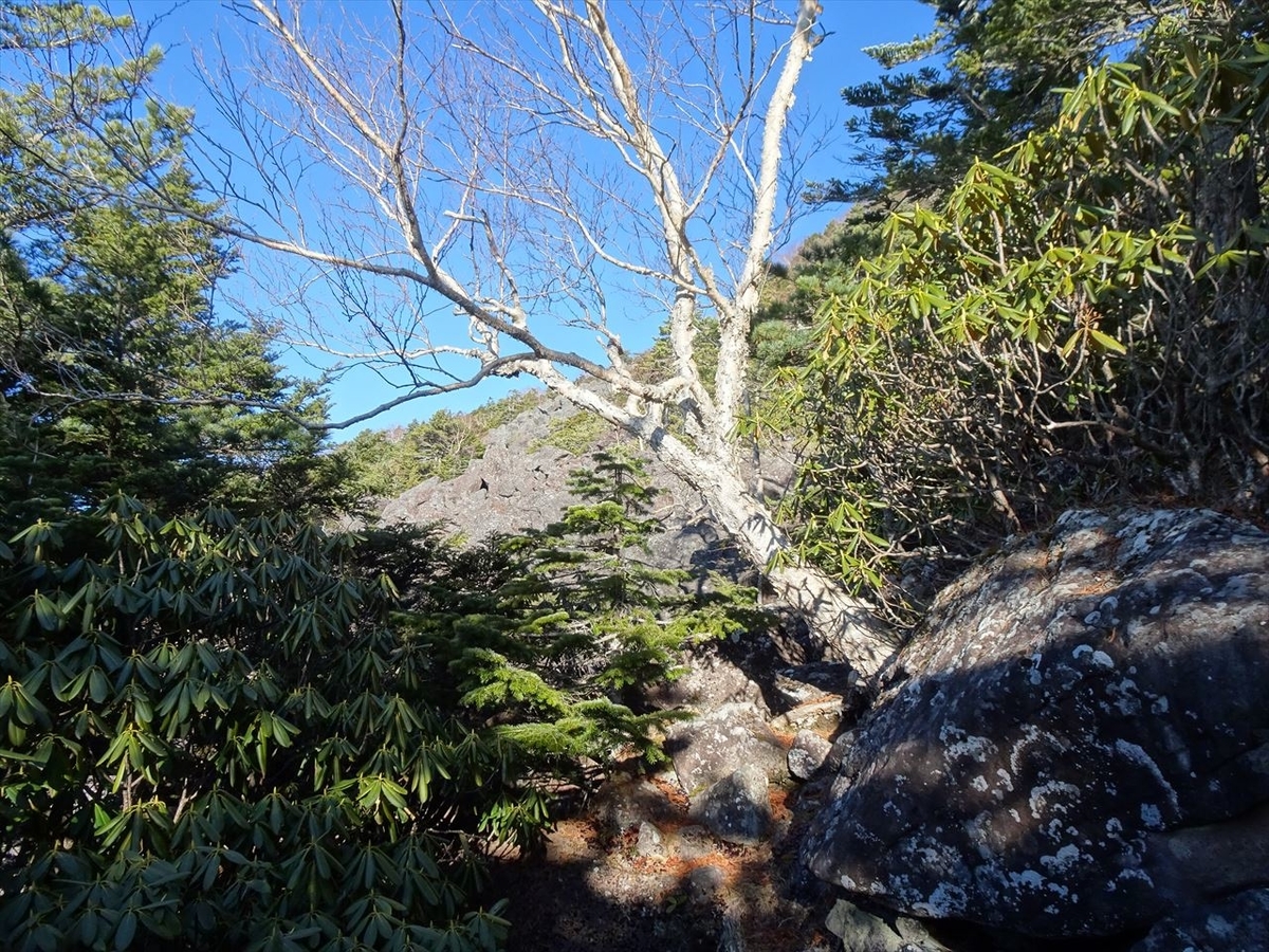 f:id:tachan_1994:20201113080918j:plain