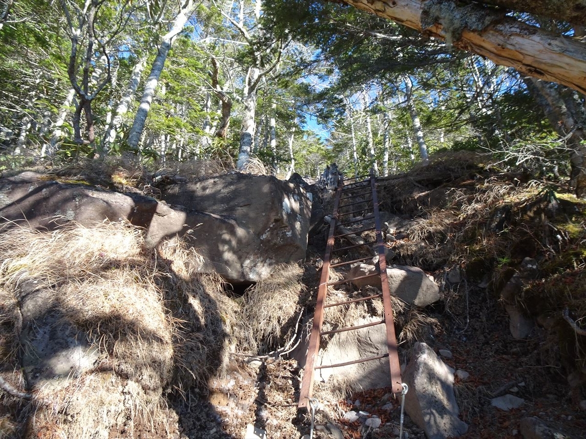 f:id:tachan_1994:20201113081747j:plain