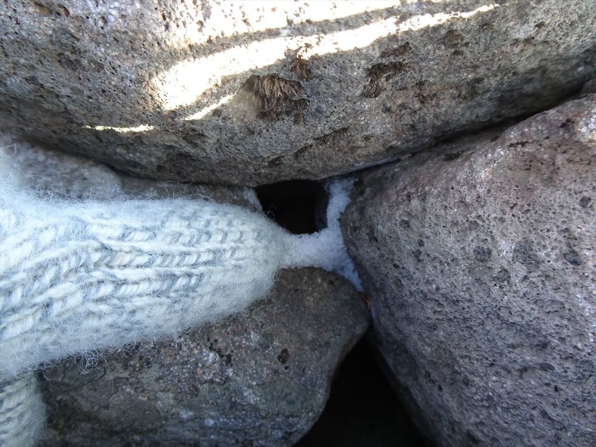 f:id:tachan_1994:20201113083739j:plain