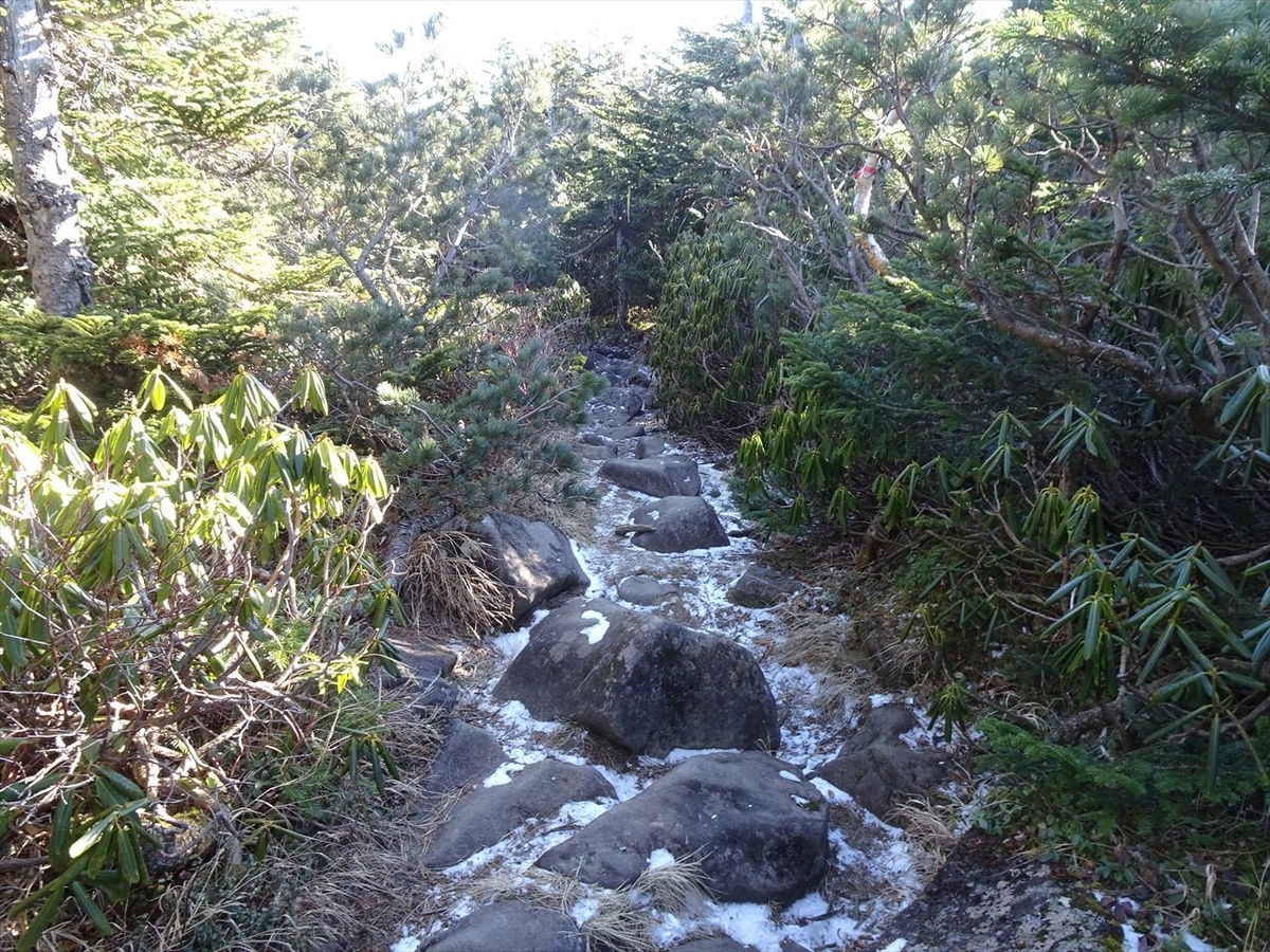 f:id:tachan_1994:20201113090321j:plain