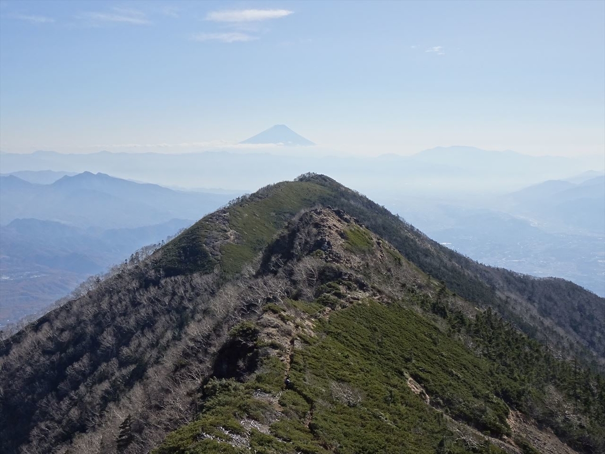 f:id:tachan_1994:20201113115343j:plain