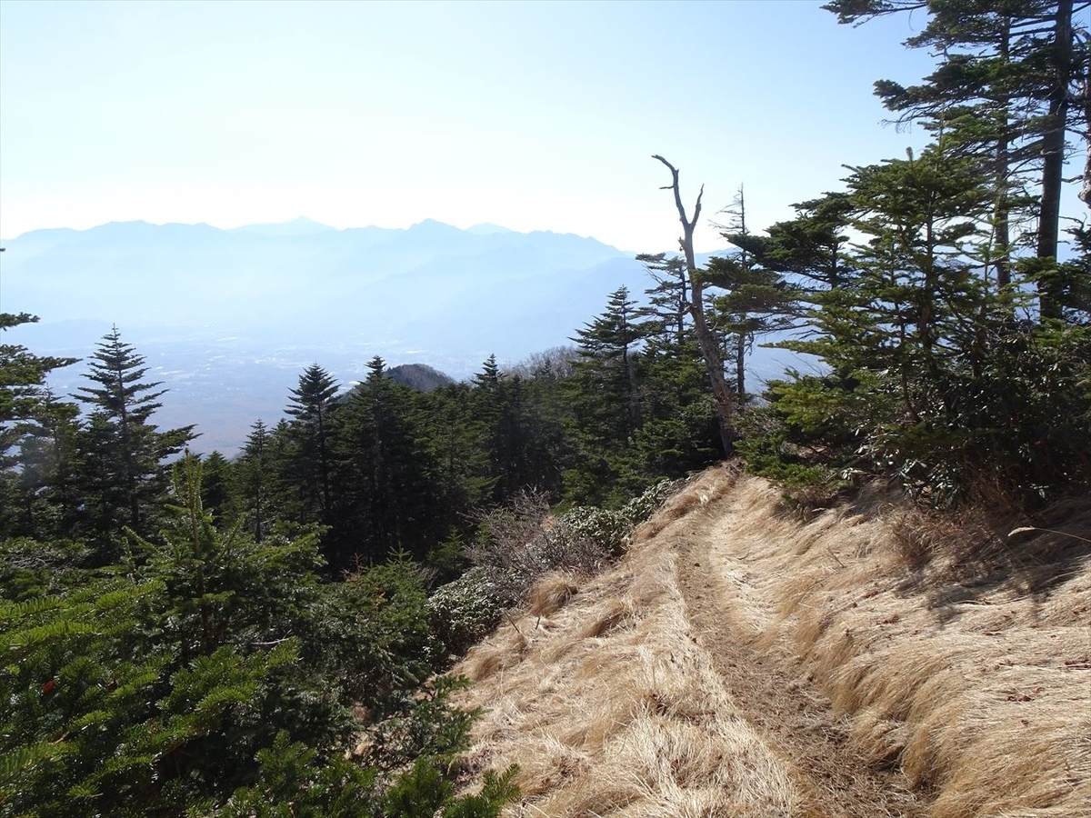 f:id:tachan_1994:20201113125411j:plain