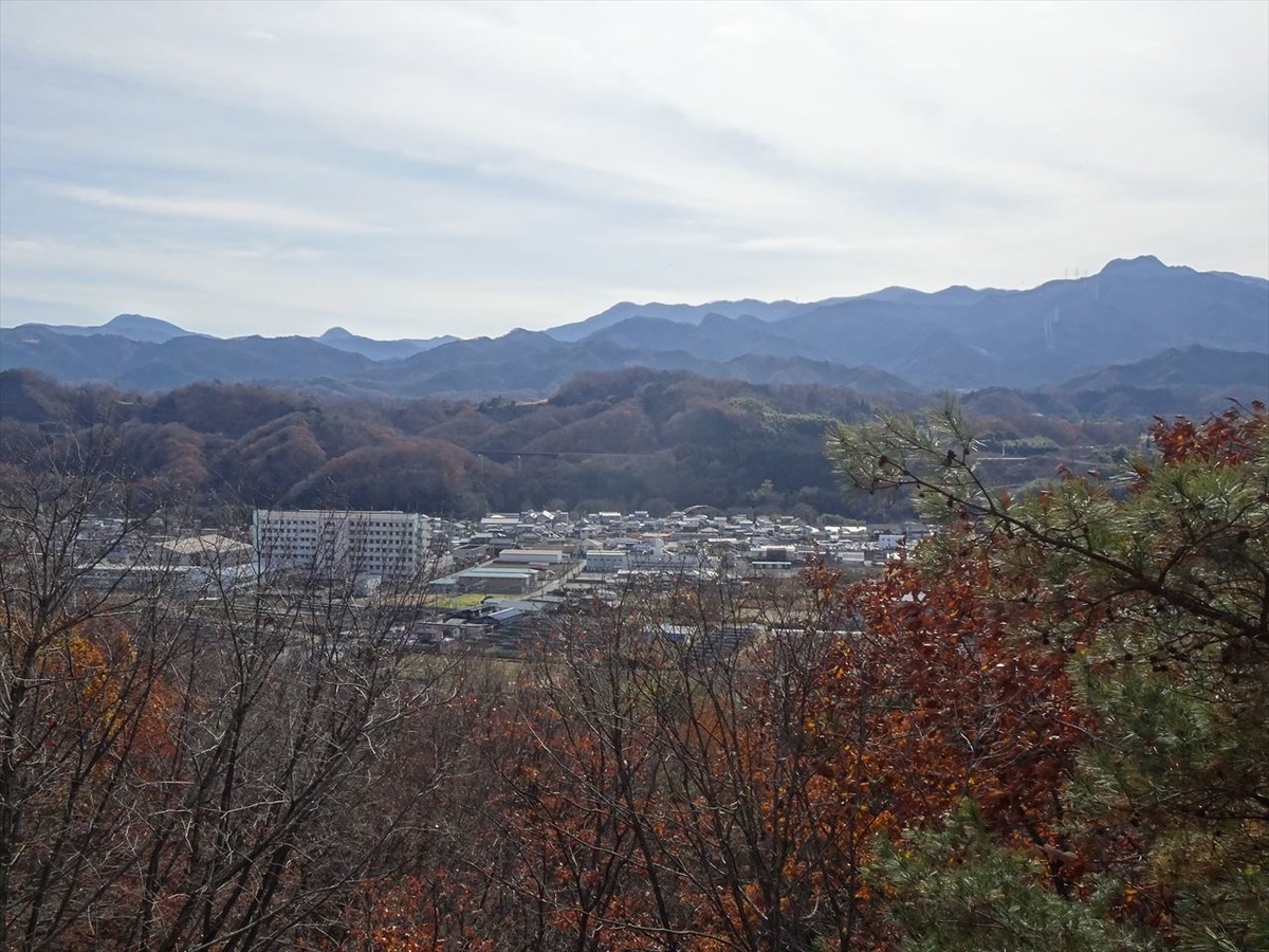 f:id:tachan_1994:20201213114351j:plain