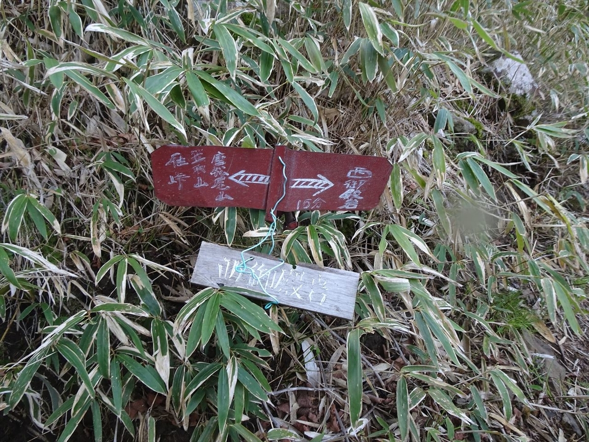 f:id:tachan_1994:20210524064954j:plain