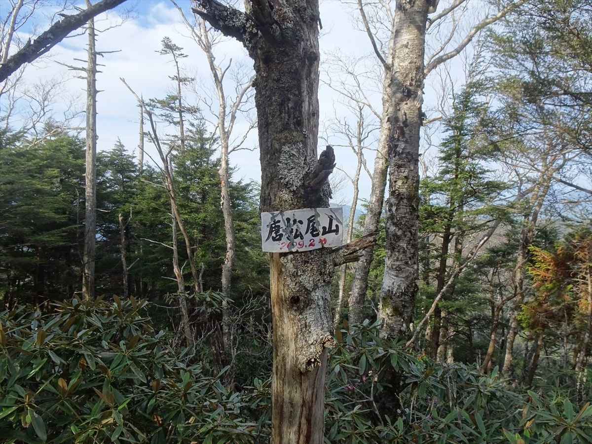 f:id:tachan_1994:20210524071138j:plain