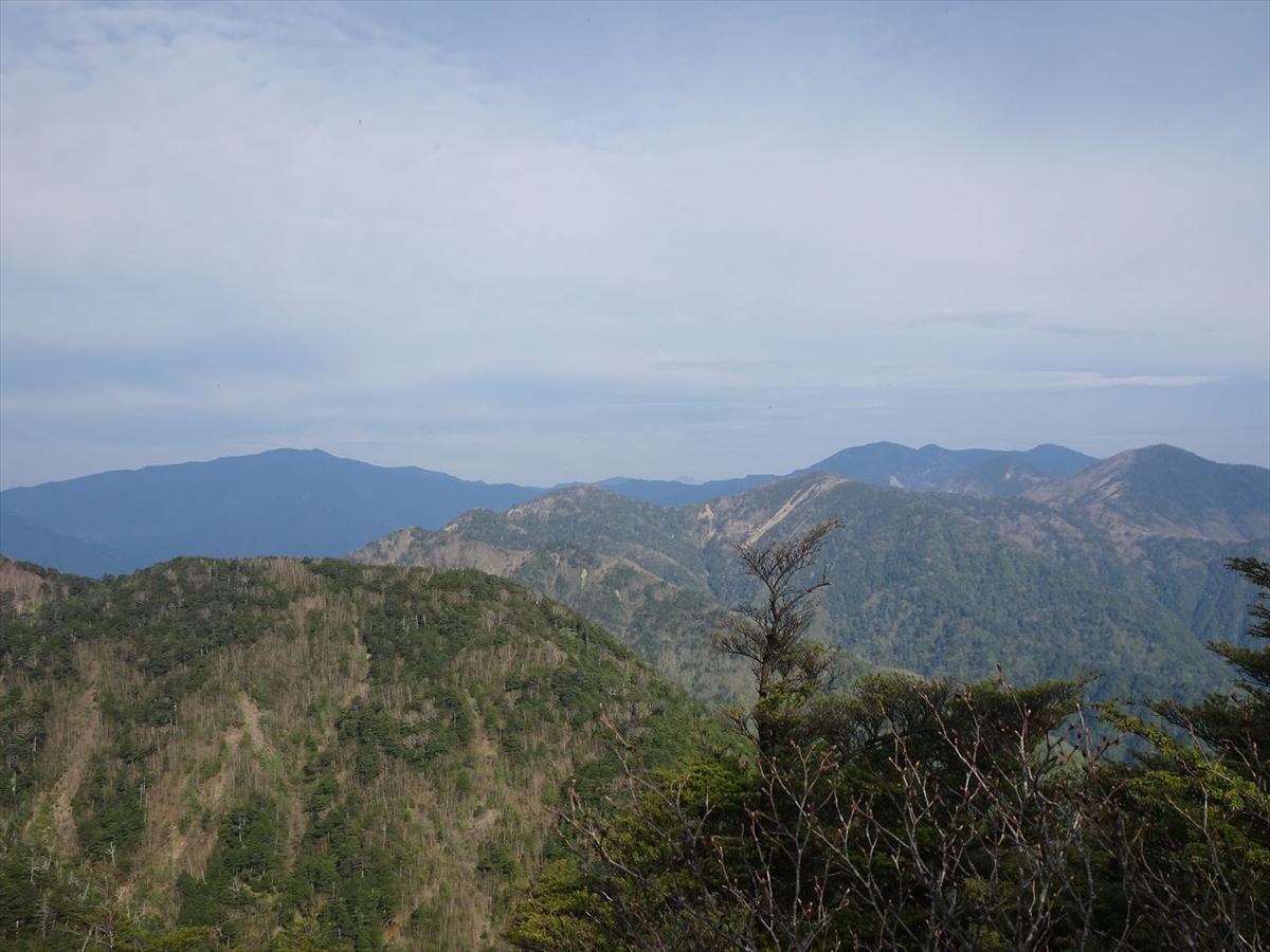 f:id:tachan_1994:20210524071905j:plain