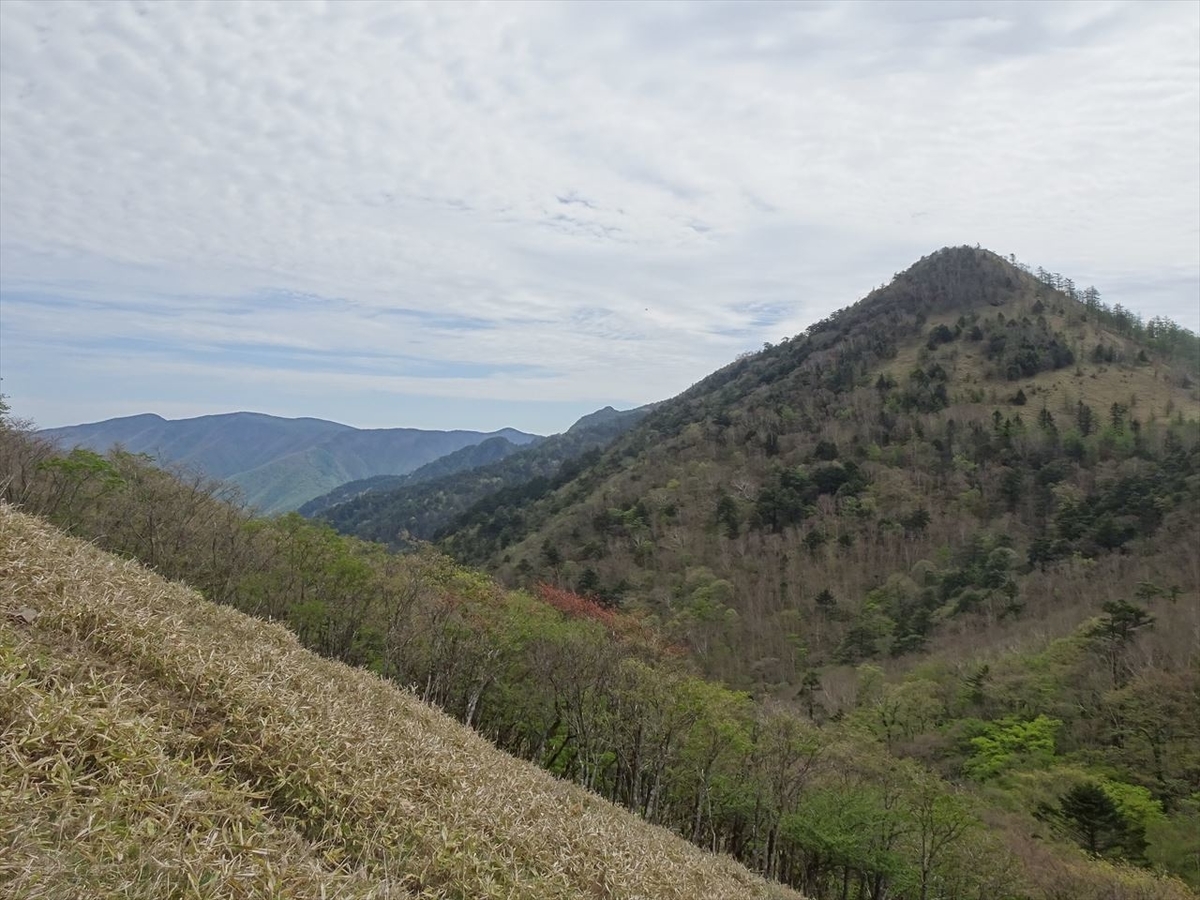 f:id:tachan_1994:20210524093441j:plain