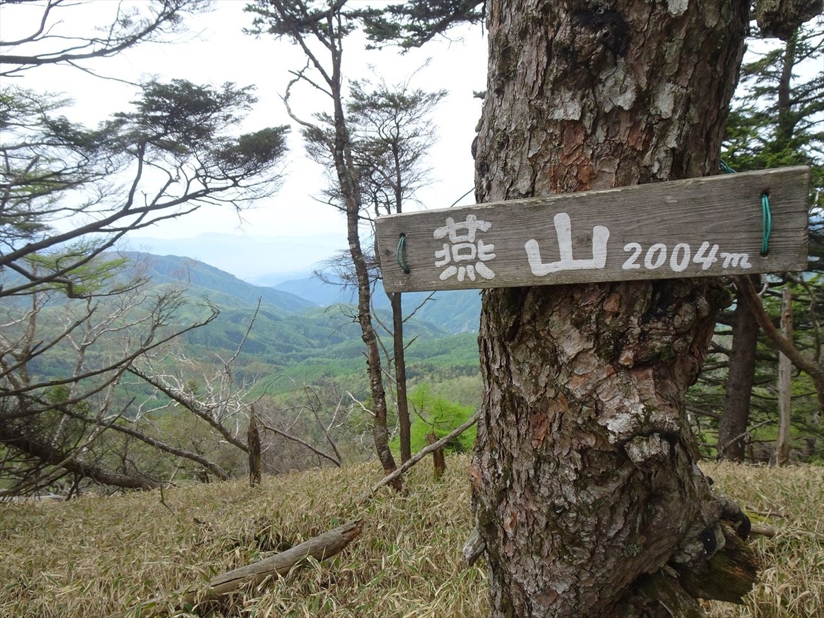 f:id:tachan_1994:20210524100542j:plain