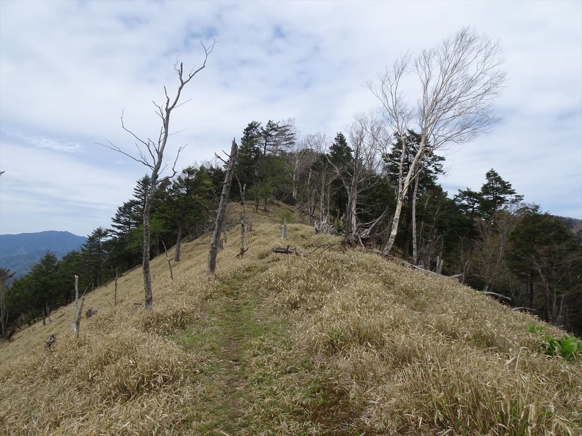 f:id:tachan_1994:20210524101609j:plain